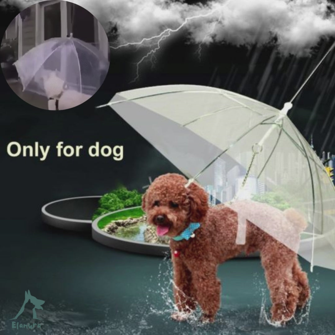 Pawbrela™|Dog Umbrella With Leash