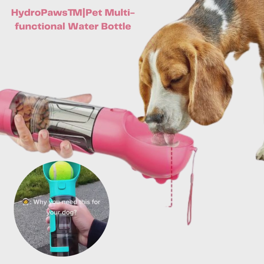 water bottle, dog design