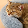 Sleepaw™|Pillow U-shaped Protective Spine Pet Toy
