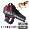 Trendy dog harness