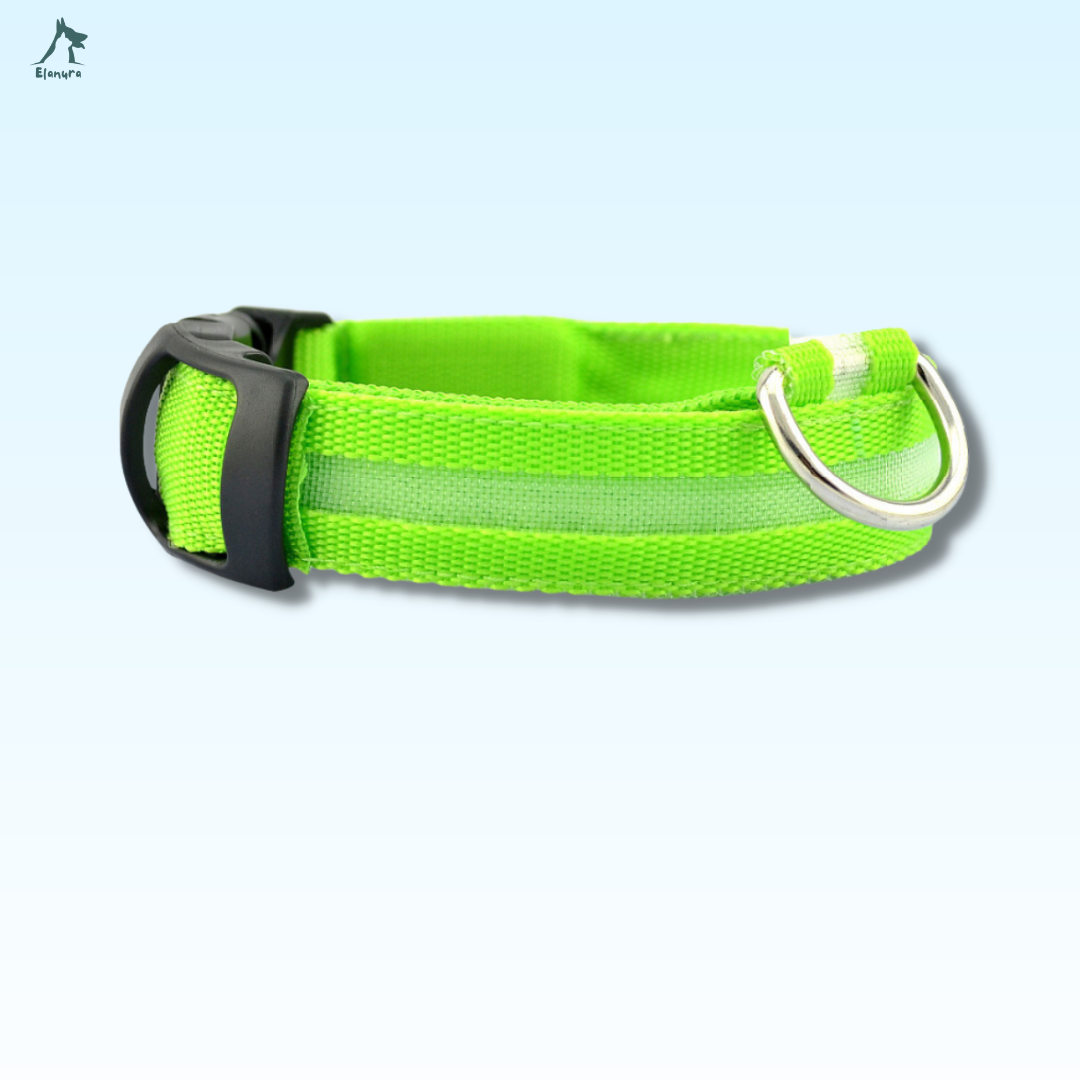 LedSaver™|Adjustable Dog Luminous Collar