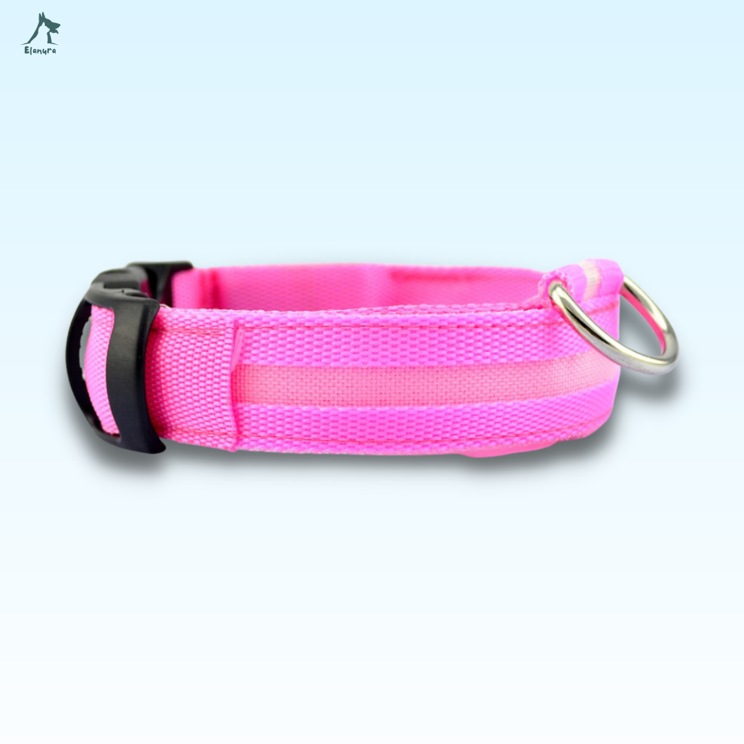 LedSaver™|Adjustable Dog Luminous Collar